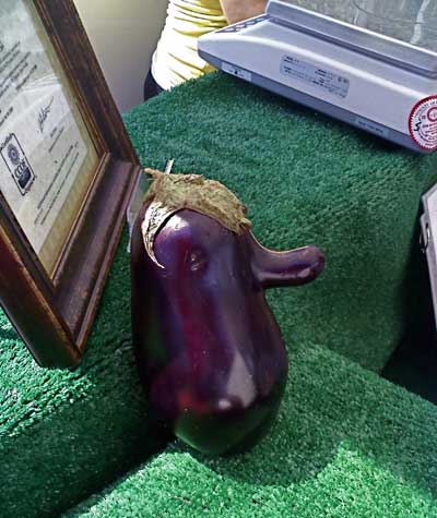 The Richard Nixon Eggplant
