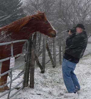 Shooting Horse in the Snow